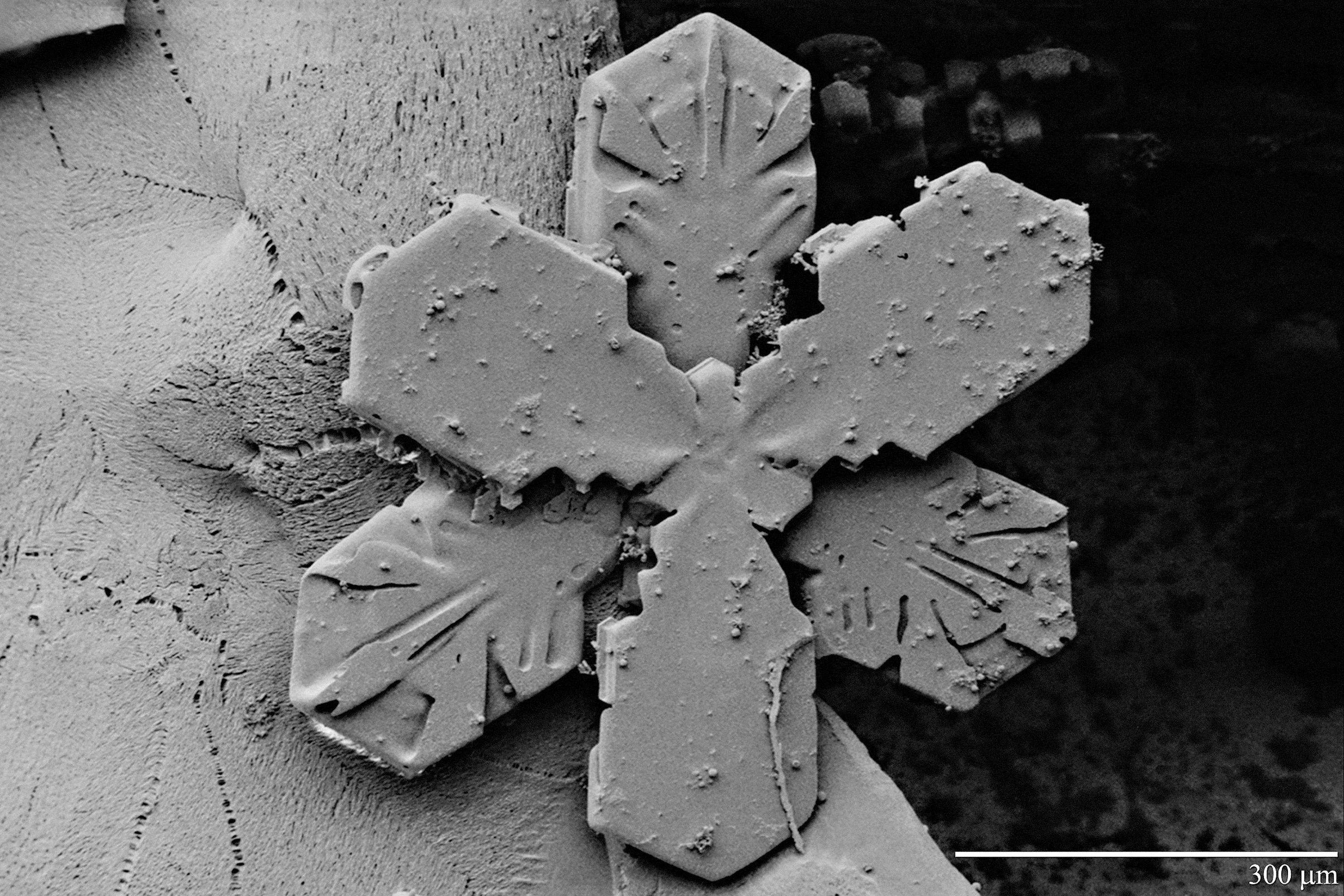 snowflake_300um_ltsem_edited