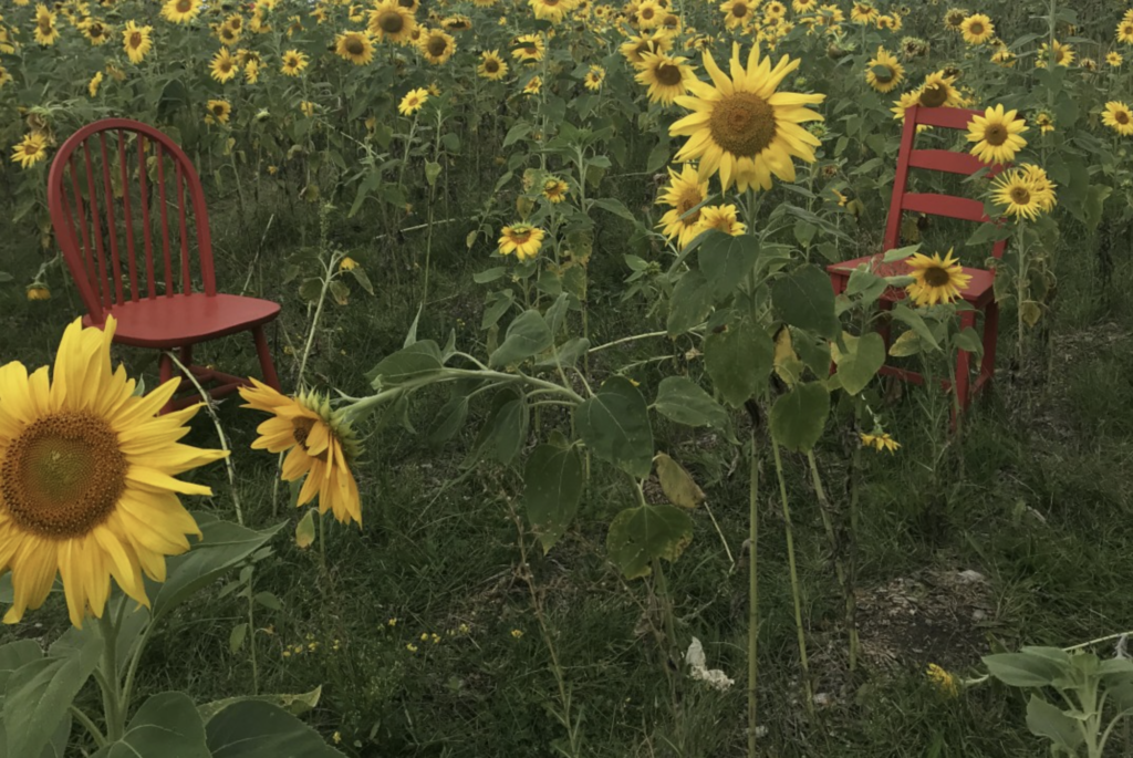 Screenshot 2024-09-11 at 6.06.59 PM